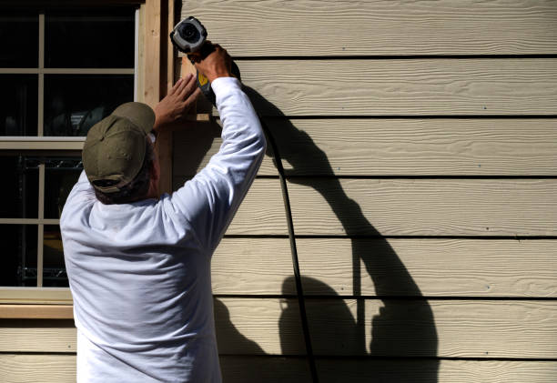 Best Custom Siding Design  in Anza, CA