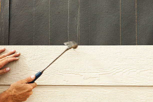 Best Stucco Siding  in Anza, CA